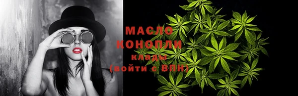 дживик Верхний Тагил