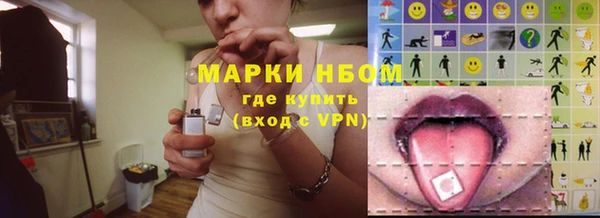 дживик Верхний Тагил