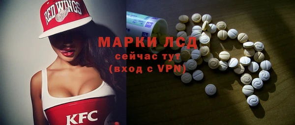 дживик Верхний Тагил