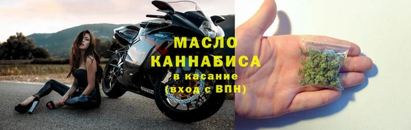 дживик Верхний Тагил