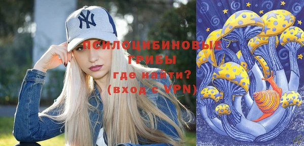 PSILOCYBIN Верея