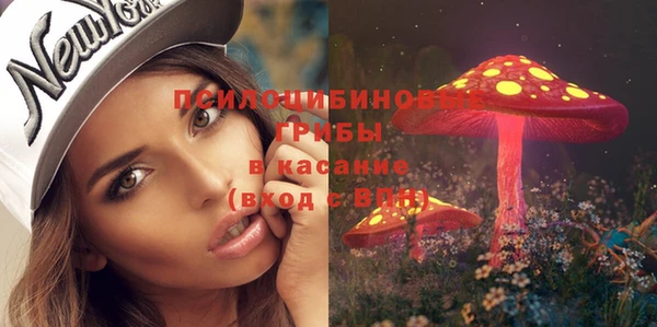дживик Верхний Тагил