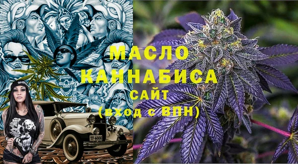 дживик Верхний Тагил