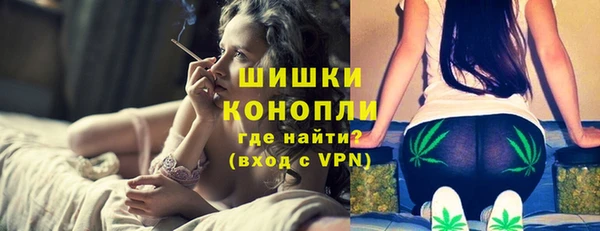PSILOCYBIN Верея