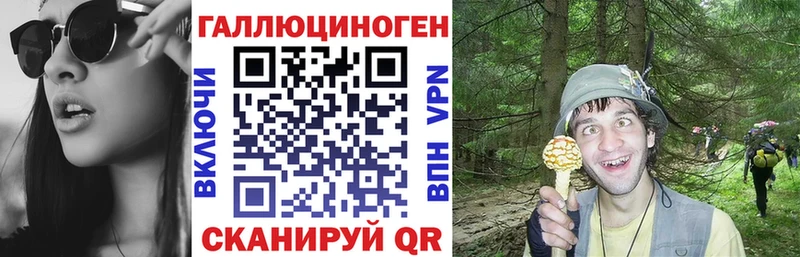 Купить закладки  Бокситогорск  Галлюциногенные грибы GOLDEN TEACHER 